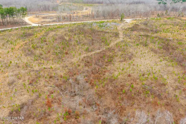 Lot 4 Rockport Mcillwain Road, Holladay, TN 38341