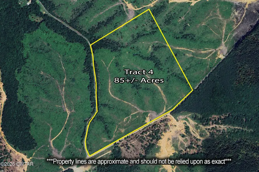 Lot 4 Rockport Mcillwain Road, Holladay, TN 38341 - Image #2