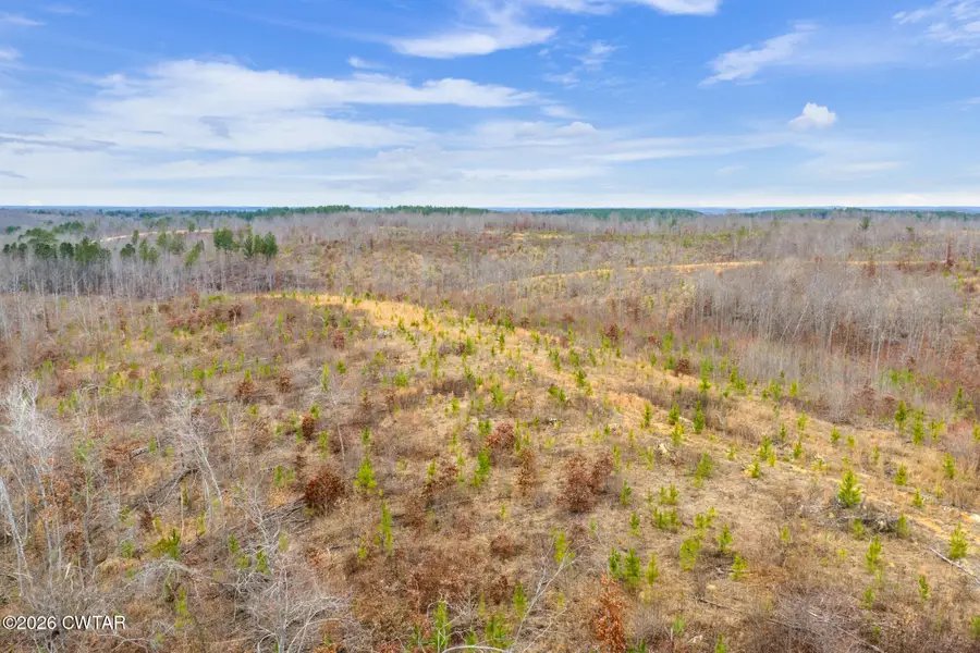 Lot 4 Rockport Mcillwain Road, Holladay, TN 38341 - Image #3