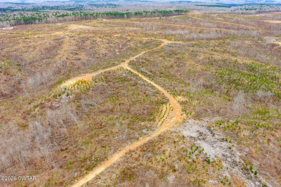 Lot 5 Rockport Mcillwain Road, Holladay, TN 38341 - Image #3