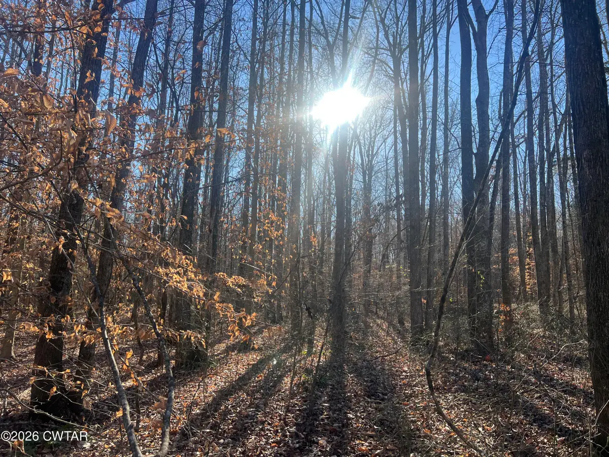 0 Excalibur Trail (lot 261), Cedar Grove, TN 38321 - Image #1