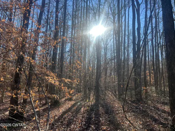 0 Excalibur Trail (lot 261), Cedar Grove, TN 38321