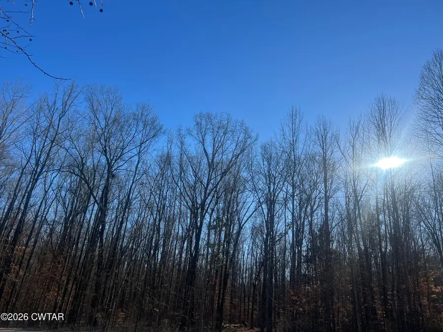 0 Excalibur Trail (lot 261), Cedar Grove, TN 38321 - Image #2