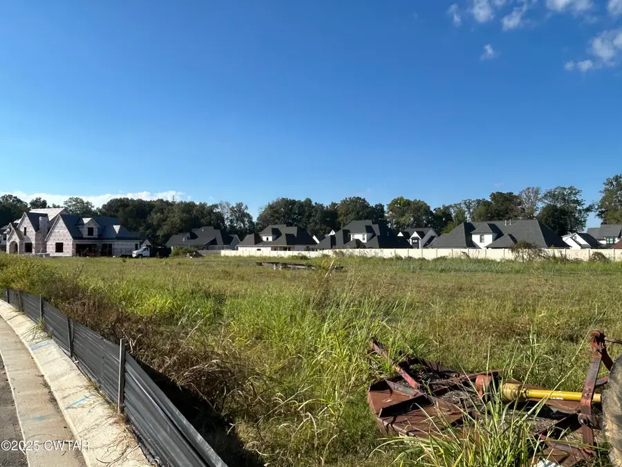 58 Swanbourne Cove, Jackson, TN 38305 - Image #2