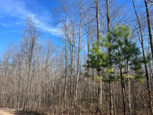 240 War Eagle Dr (lot 121), Cedar Grove, TN 38321