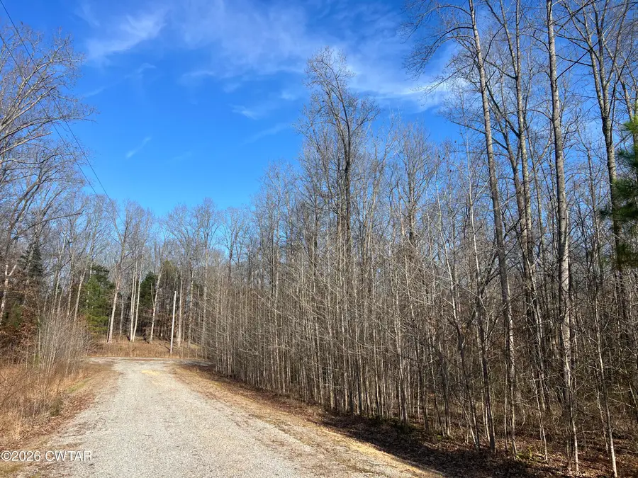 240 War Eagle Dr (lot 121), Cedar Grove, TN 38321 - Image #2