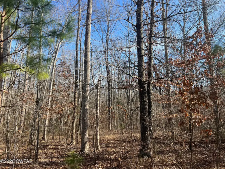 240 War Eagle Dr (lot 121), Cedar Grove, TN 38321 - Image #3