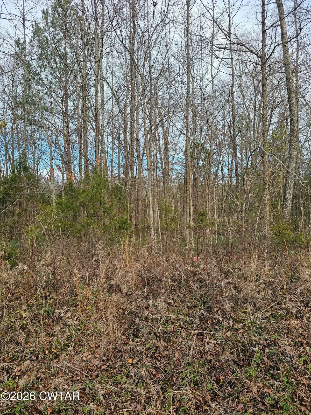 0 Lynn Lane, Lot 23, Big Sandy, TN 38221 - Image #1