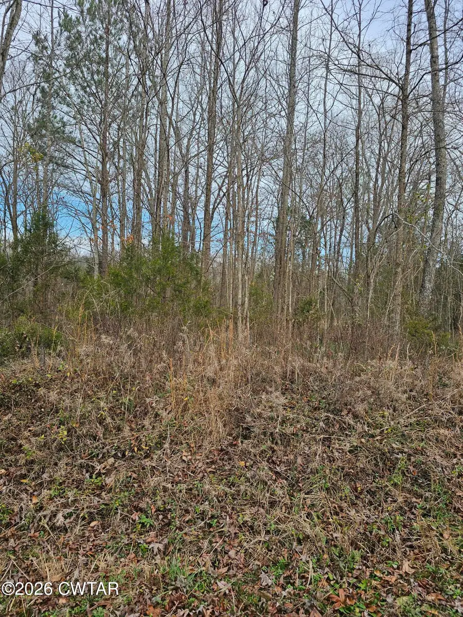 0 Lynn Lane, Lot 23, Big Sandy, TN 38221 - Image #3