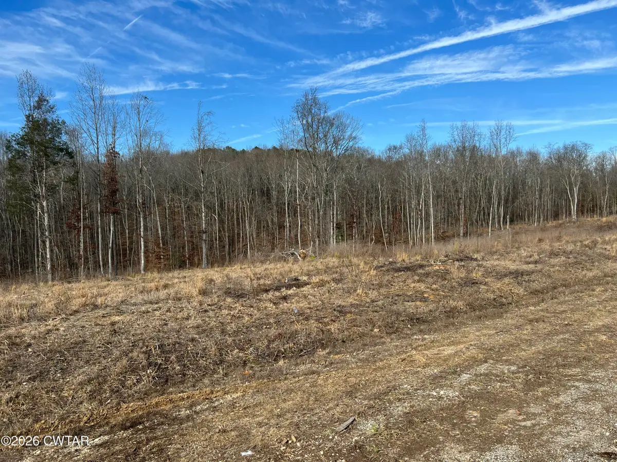 00 Robinson Levee Road, McKenzie, TN 38201 - Image #1