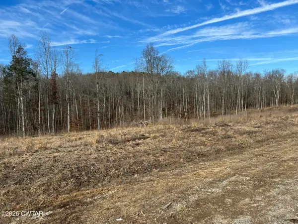 00 Robinson Levee Road, McKenzie, TN 38201