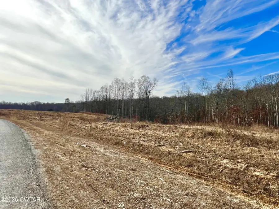 00 Robinson Levee Road, McKenzie, TN 38201 - Image #2