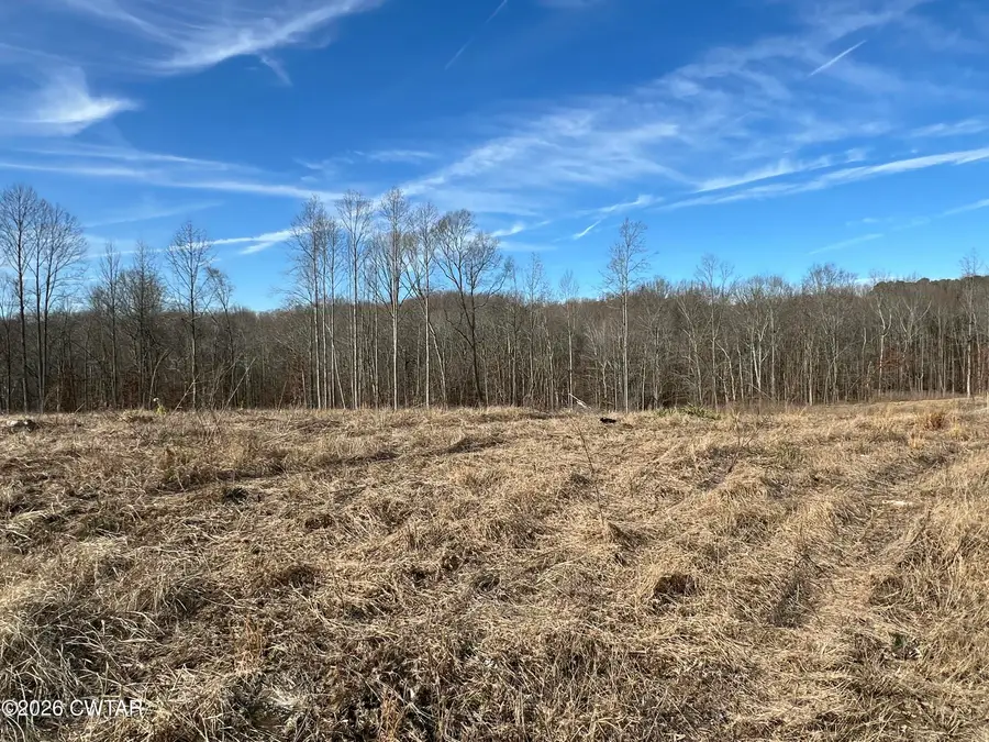 00 Robinson Levee Road, McKenzie, TN 38201 - Image #3