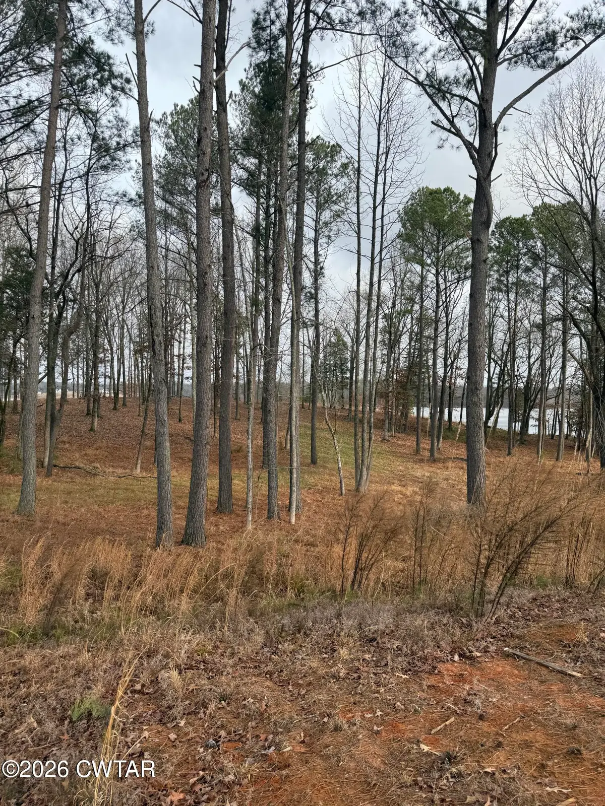 Lot 16 Stately Oak Dr, Huntingdon, TN 38344 - Image #1