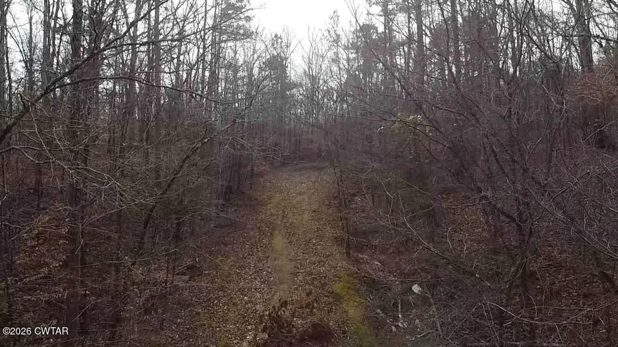 0 Pheasant Cove, Middleton, TN 38052 - Image #3