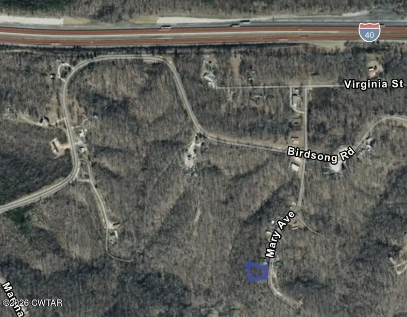 0 Mary Avenue, Holladay, TN 38341 - Image #3