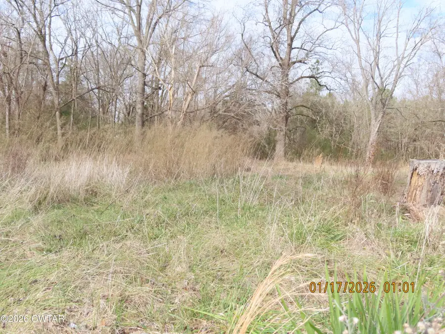 172 E College Street, Saulsbury, TN 38067 - Image #2