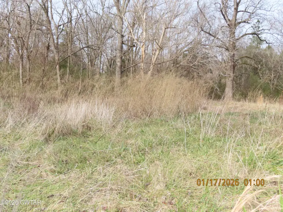 172 E College Street, Saulsbury, TN 38067 - Image #3