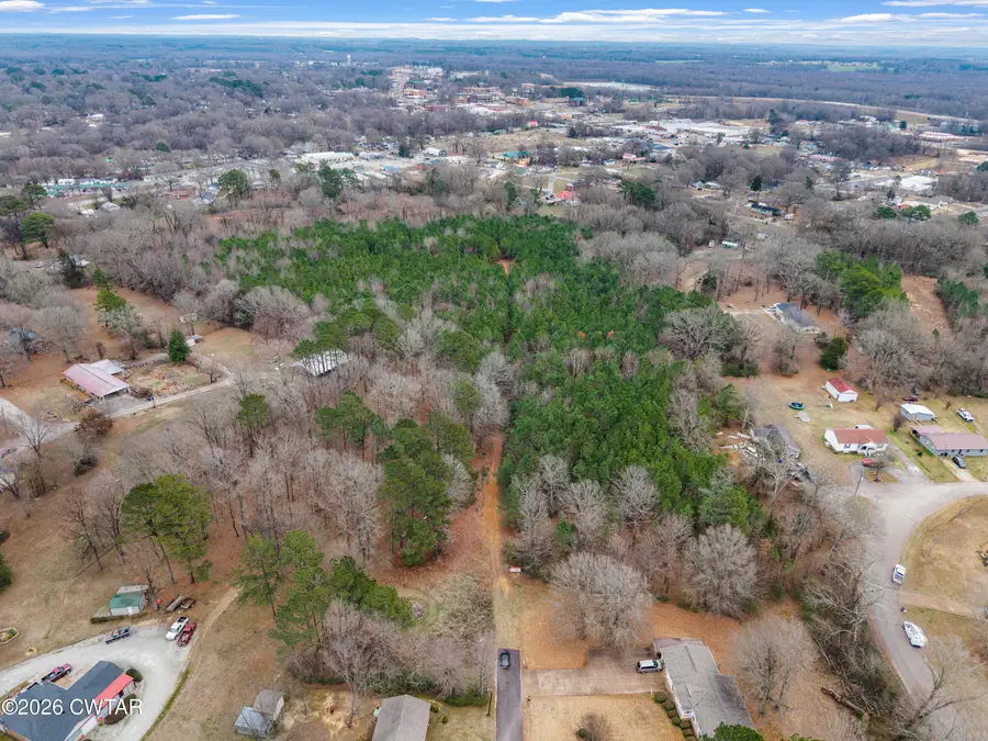 0 Sheila Drive, Henderson, TN 38340 - Image #2