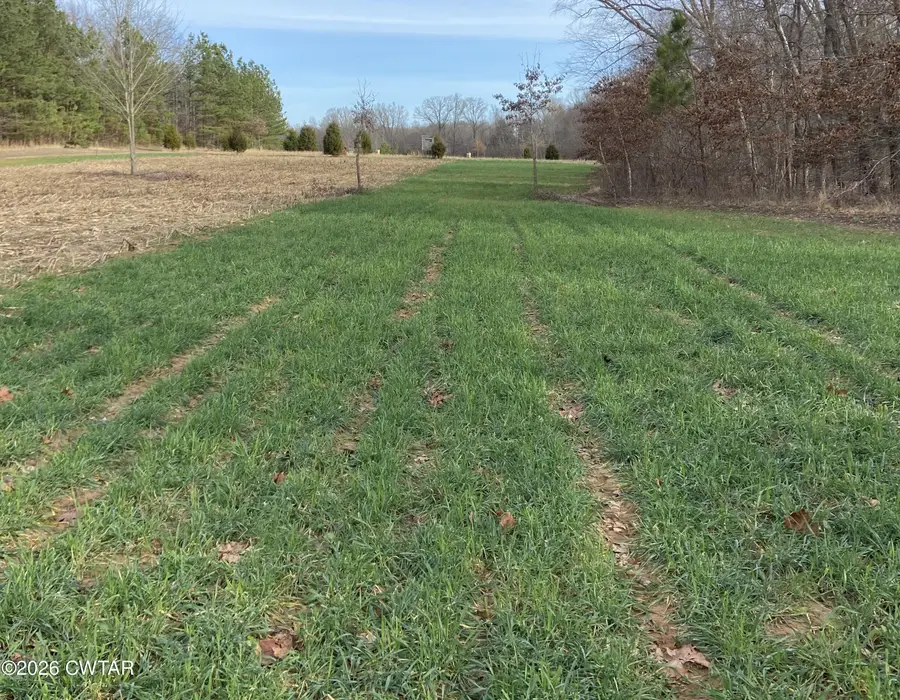 0 Bruce Road, Whiteville, TN 38075 - Image #2