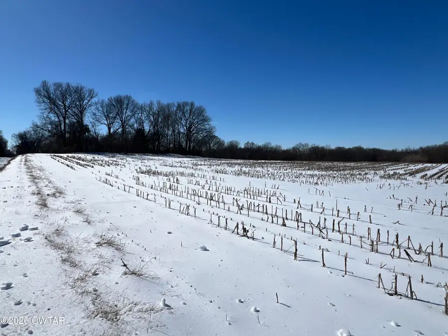 00 Tatumville Road, Newbern, TN 38059 - Image #2