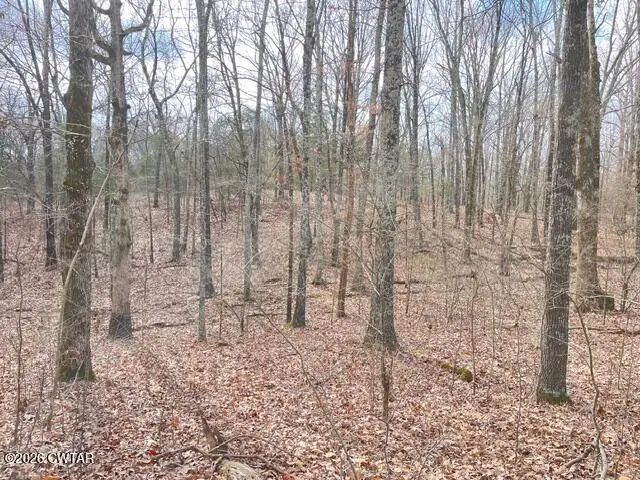 00 Baudy James Road, Cedar Grove, TN 38321 - #2