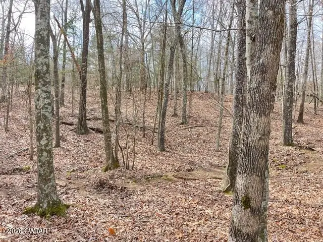 00 Baudy James Road, Cedar Grove, TN 38321 - #3