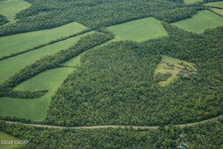 00 Auction Lane, Cedar Grove, TN 38321 - #2