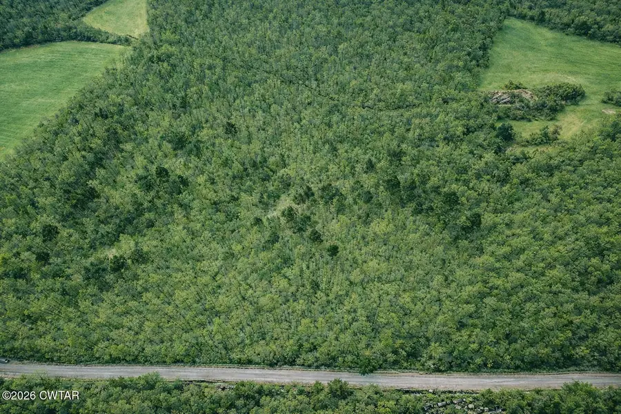 00 Auction Lane, Cedar Grove, TN 38321 - #3