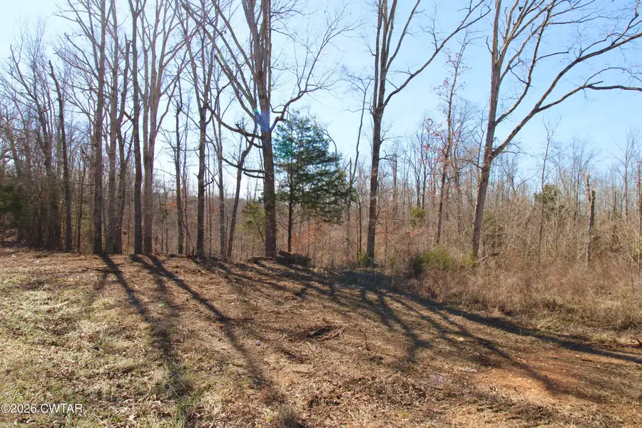 000 Shady Hill Road, Lexington, TN 38351 - #2