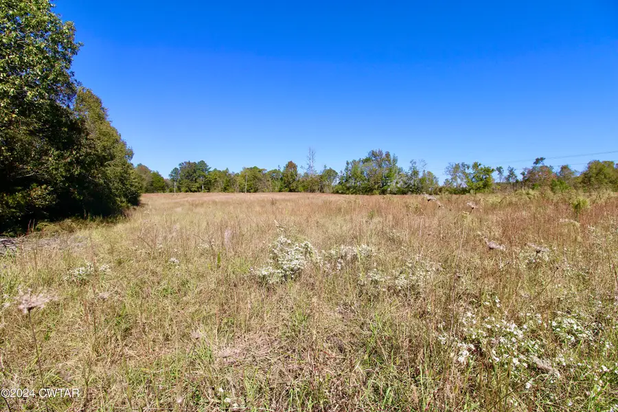 0 Old Stage Road, Decaturville, TN 38329 - #3