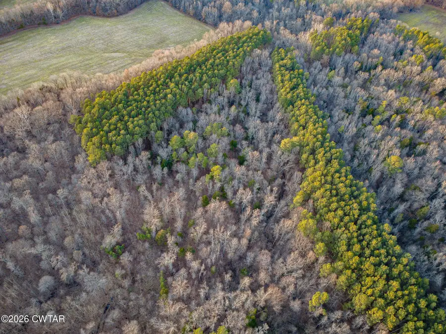 00 Laneview-concord Road, Trenton, TN 38382 - #2