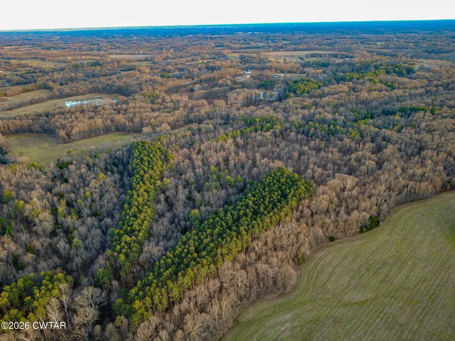 00 Laneview-concord Road, Trenton, TN 38382 - #3