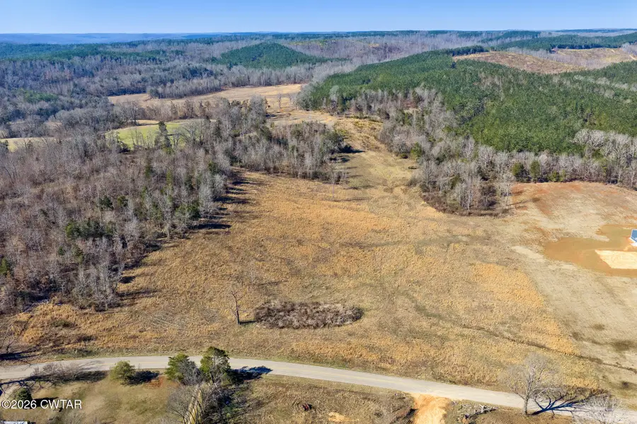 0 Mt Carmel Road, Decaturville, TN 38329 - #2