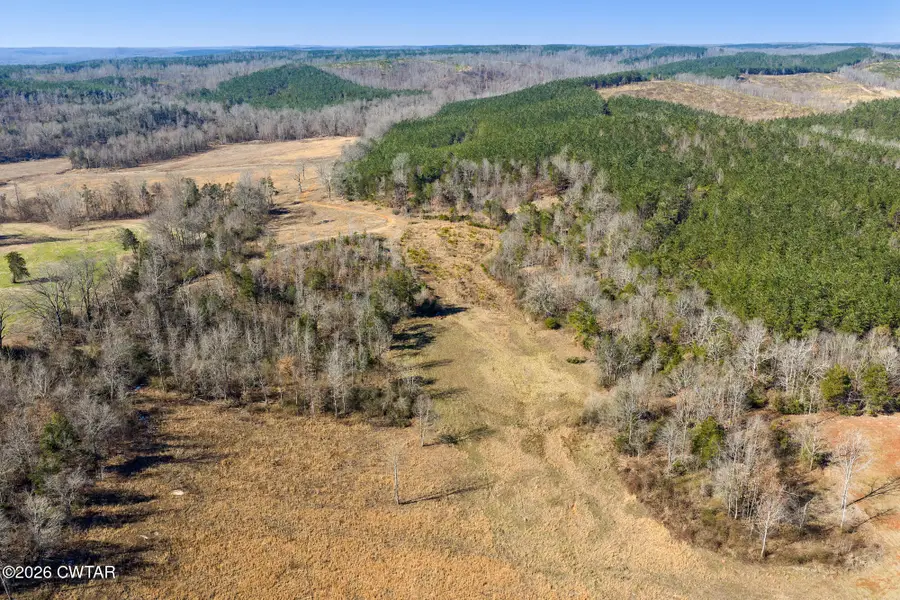 0 Mt Carmel Road, Decaturville, TN 38329 - #3