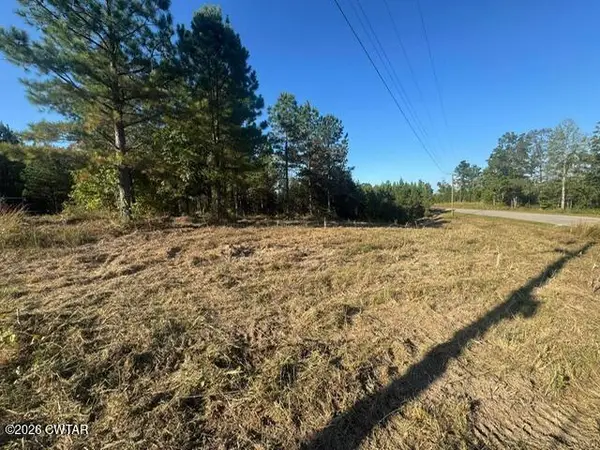 0 Franks Road, Sugar Tree, TN 38380