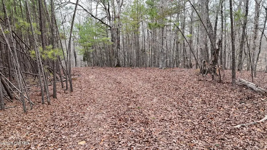 000 W Hwy 412, Lexington, TN 38351 - #3