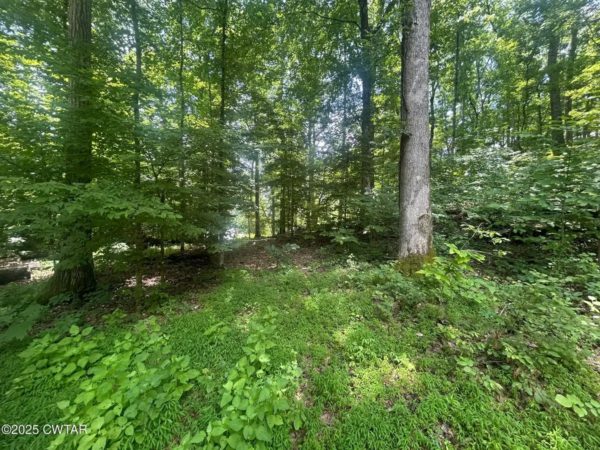 00 Cedar Lane, Sugar Tree, TN 38380 - #1