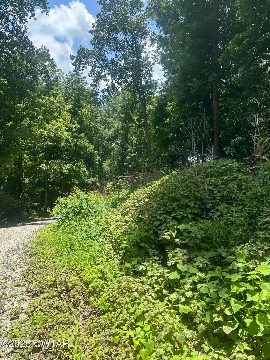 00 Cedar Lane, Sugar Tree, TN 38380 - #3