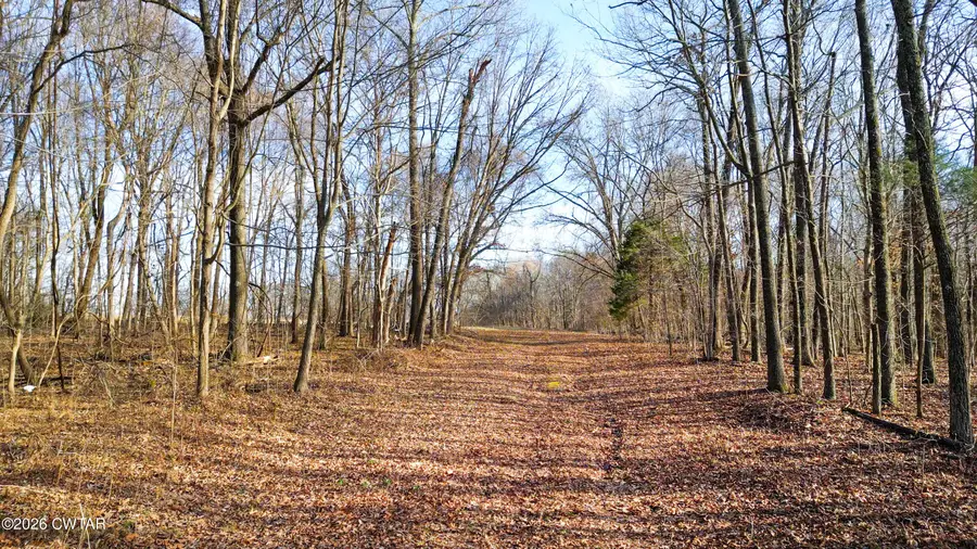 43 Esquire Hunt Road, Humboldt, TN 38343 - #3