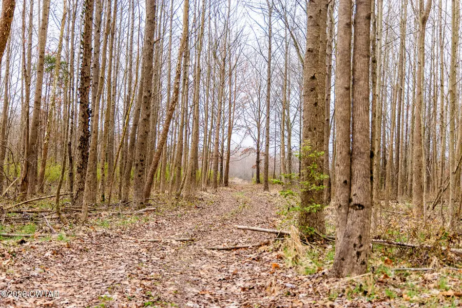 320 Durid Lane, Paris, TN 38242 - #2