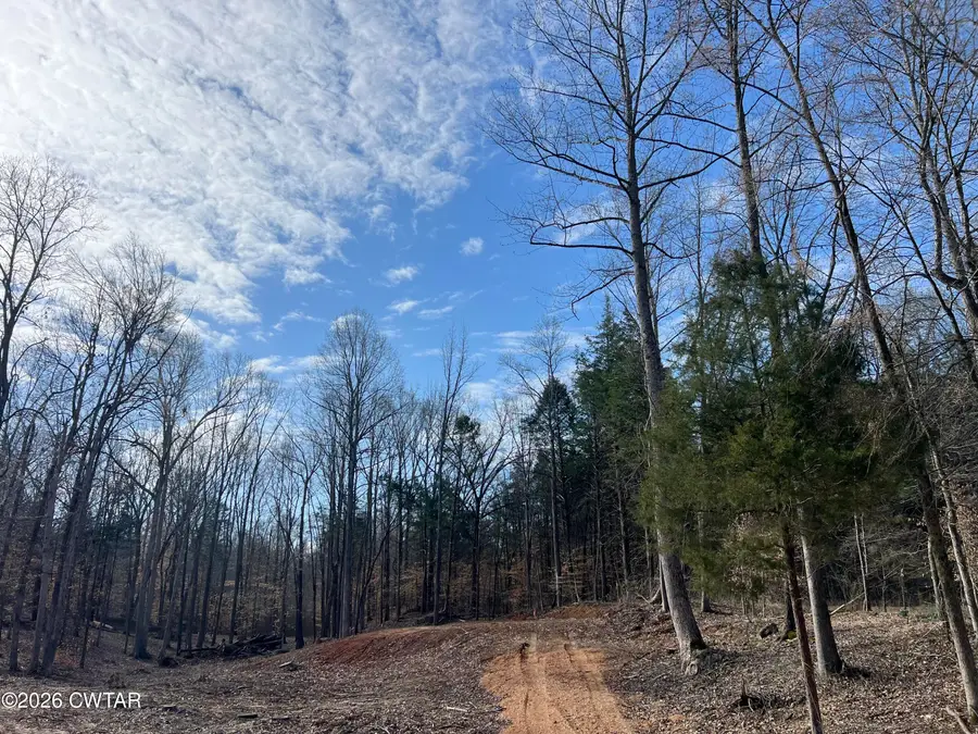 0 Excalibur Trail ( Lot 232), Cedar Grove, TN 38321 - #2