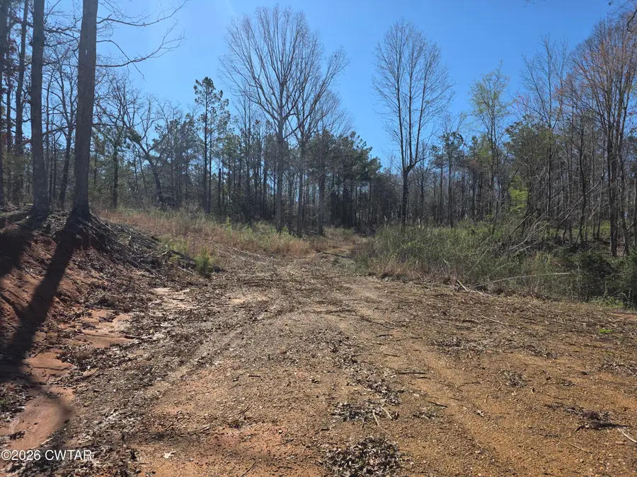 9770 State Route 100 E, Reagan, TN 38368 - #2