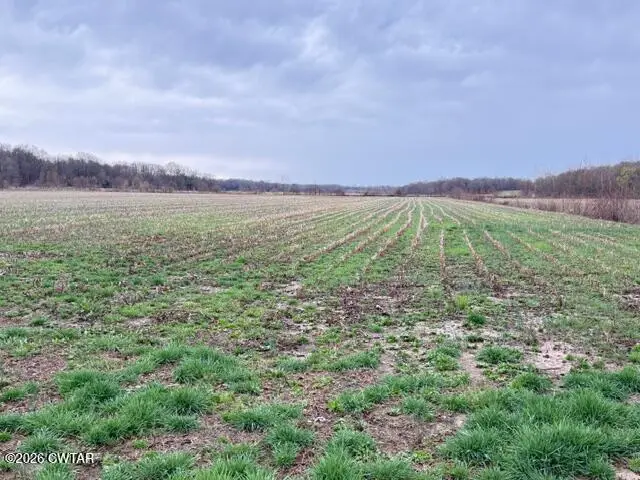 00 Strayleaf Road, Wildersville, TN 38388 - #1