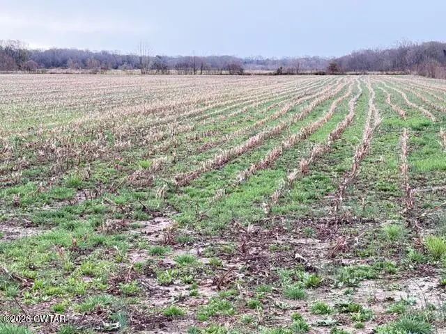 00 Strayleaf Road, Wildersville, TN 38388 - #2