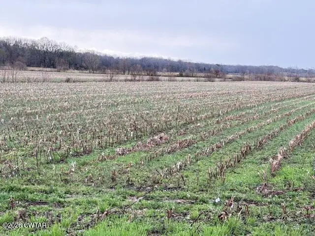 00 Strayleaf Road, Wildersville, TN 38388 - #3