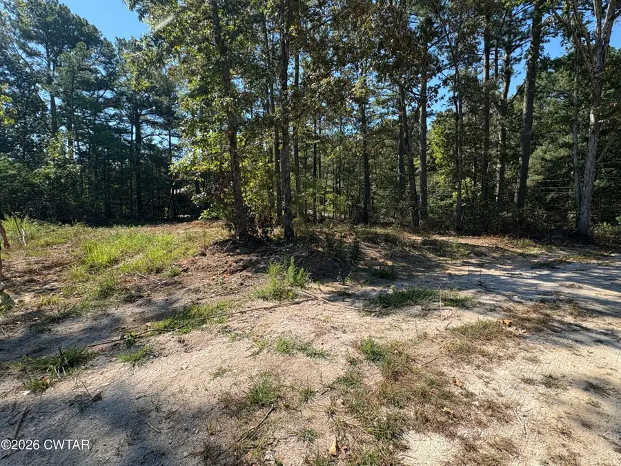 15 Ebenezer Road, Lexington, TN 38351 - #3