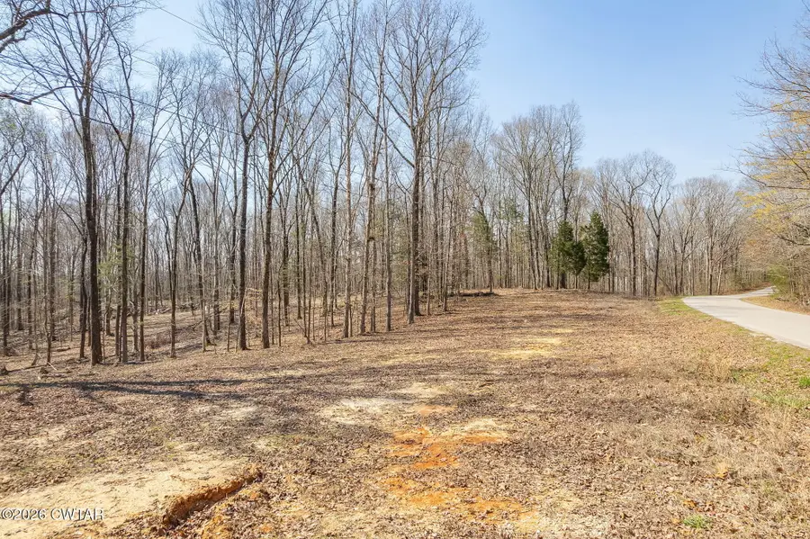 320 Peddy Vestal Loop, Henderson, TN 38340 - #2