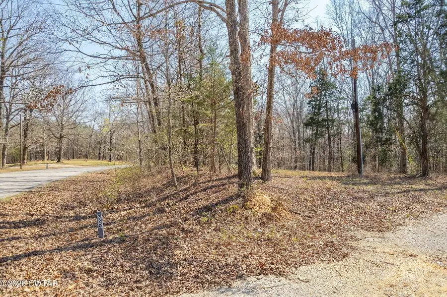 320 Peddy Vestal Loop, Henderson, TN 38340 - #3