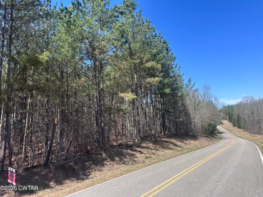 00 Old Highway 69 S, Sugar Tree, TN 38380 - #2